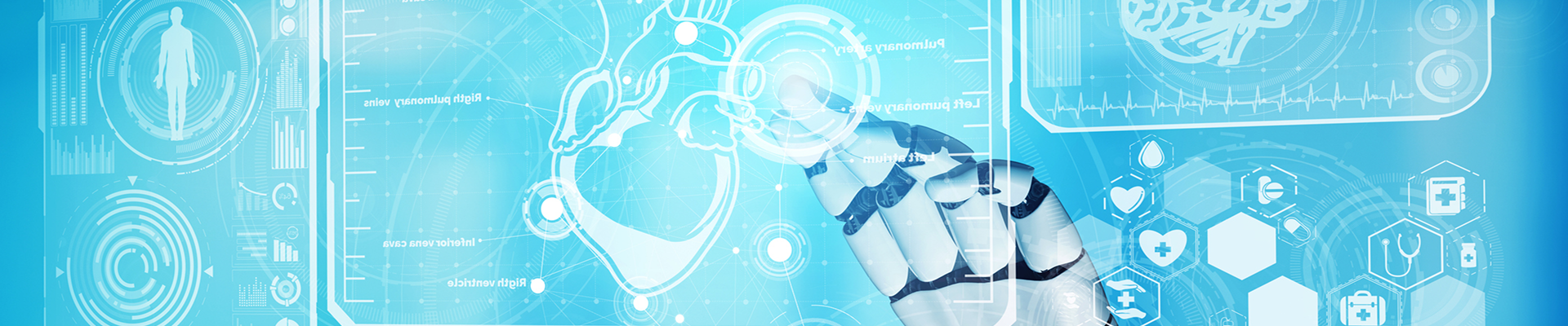 MEDSANF SANS FRONTIERES